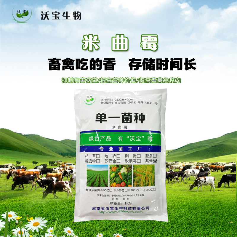米曲霉 促进饲料中营养素降解 使畜禽对饲料的吸收利用更加充分