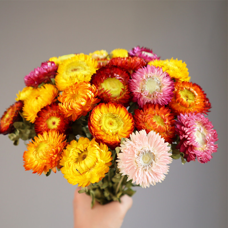 特价向日葵花束干花_云南天然鲜干花真花小雏菊向日葵太阳花花束小