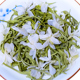 君子水飘雪特级蒙顶山毛尖四川浓香型2025年新茶散装茶叶茉莉花茶