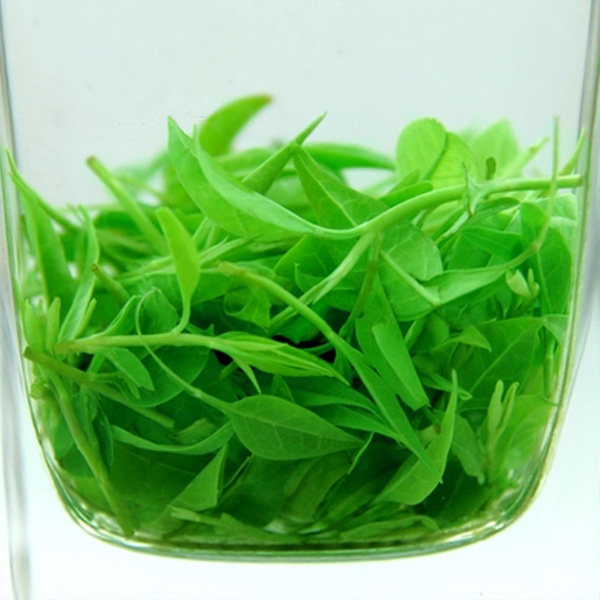 君子水茶叶品牌店的优惠券大全