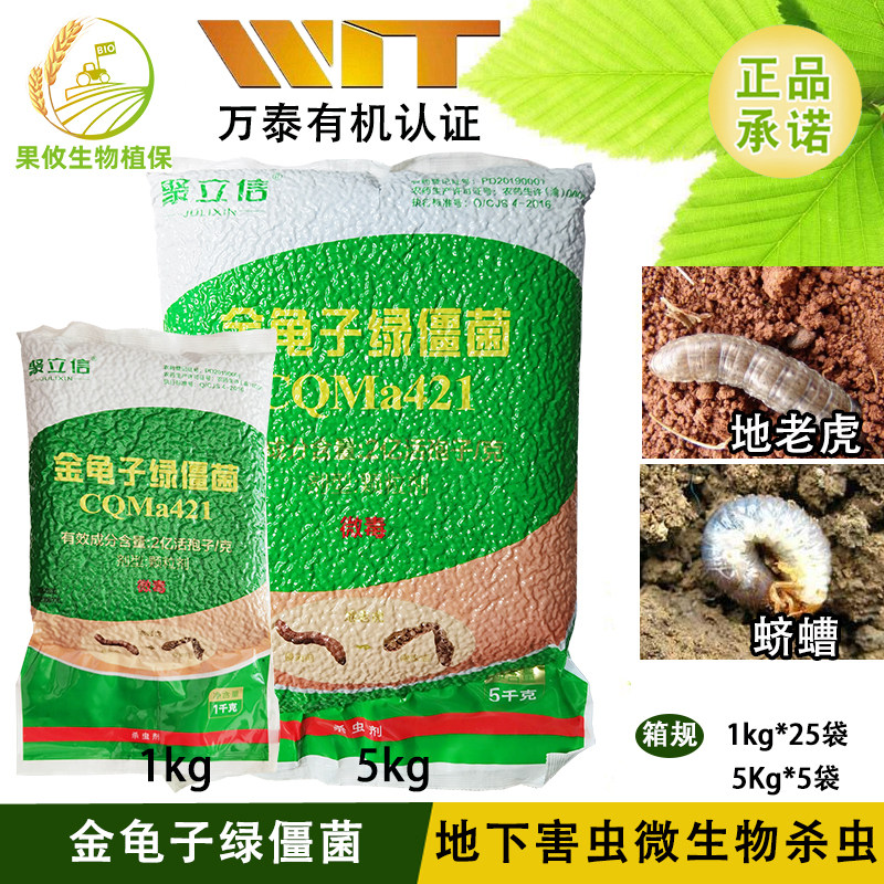 聚立信 金龟子绿僵菌 2亿孢子/克 萝卜甘蔗蛴螬地老虎地下杀虫剂