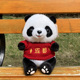 成都熊猫公仔熊猫基地动物园旅游纪念品毛绒玩具儿童女生生日礼物
