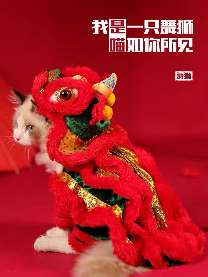 猫咪舞狮衣服