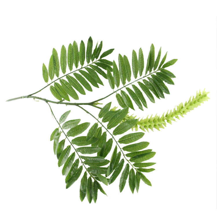 仿真假树叶杨树花串枫杨花槐树洋槐叶子枫树灌木绿植装饰直销
