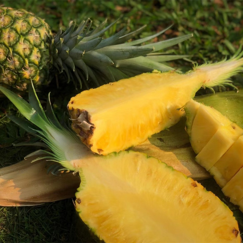 海南黄金凤梨果香馥郁 清甜多汁削皮即食无需泡盐水6斤顺丰包邮