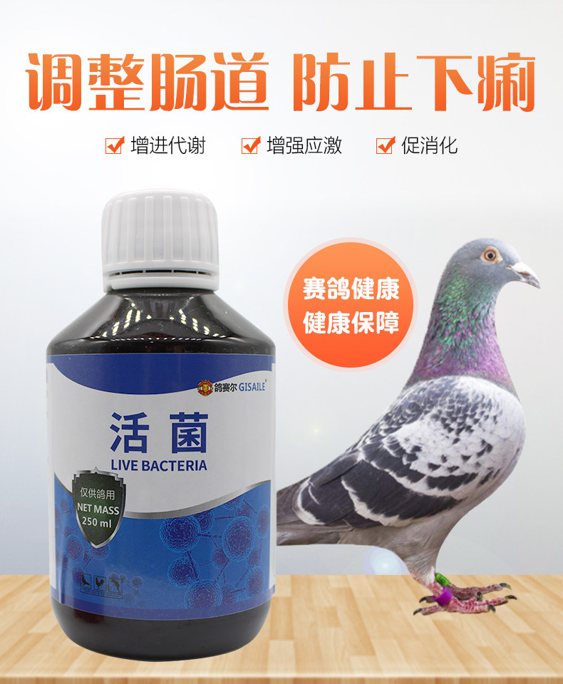 鸽赛尔活菌王250ml鸽药鸽子药大全肠道专用活菌绿便水便信鸽幼用