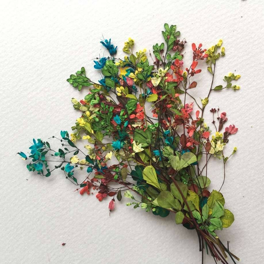 【压花艺术图片】_压花艺术图片大全-蜜罐蚁装修网