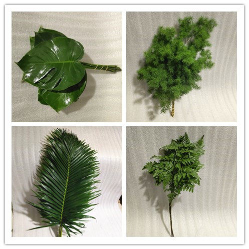 昆明心怡花坊的优惠券大全—新鲜龟背叶栀子叶高山羊齿巴西叶尤加利