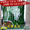 大别山之特色野笋丝 脆嫩笋丝 天然野笋丝 冬笋丝 竹笋丝 干锅笋 大别山之特色野笋丝 脆嫩笋丝 天然野笋丝 冬笋丝 竹笋丝 干锅笋