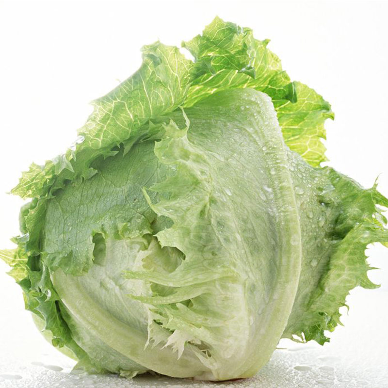 北京发货 密云农家球新鲜圆沙拉蔬菜  生菜约400克新款食用农产品