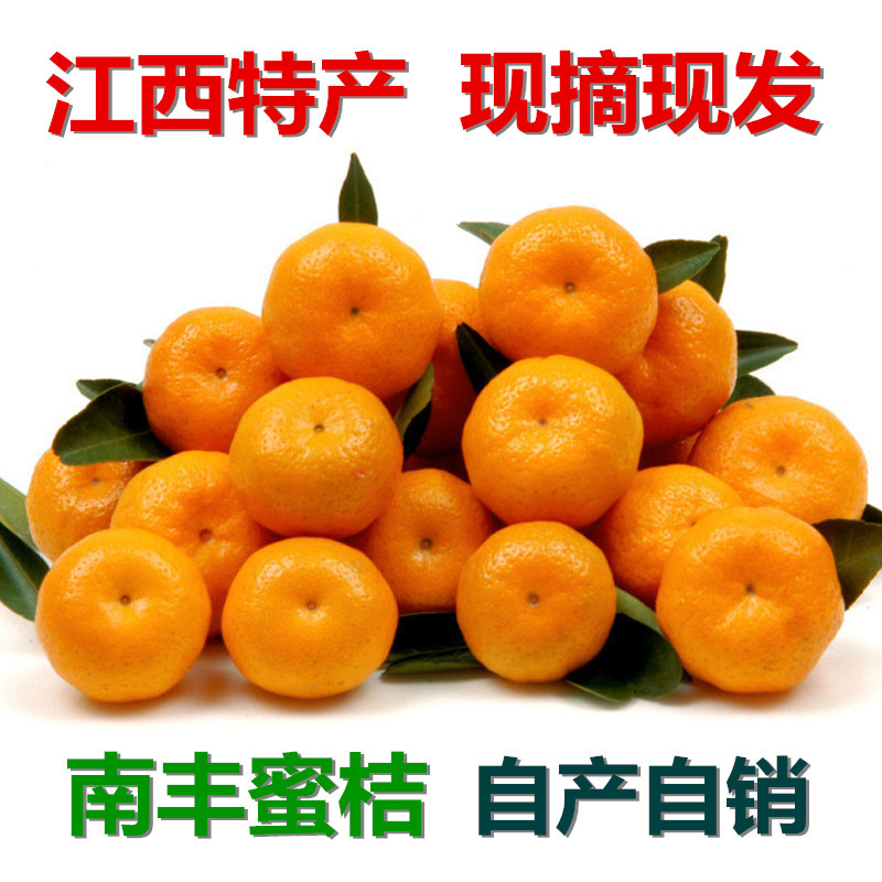 热销橘子水果 新鲜包邮10斤南丰_江西南丰蜜桔水果新鲜10斤装包邮当季