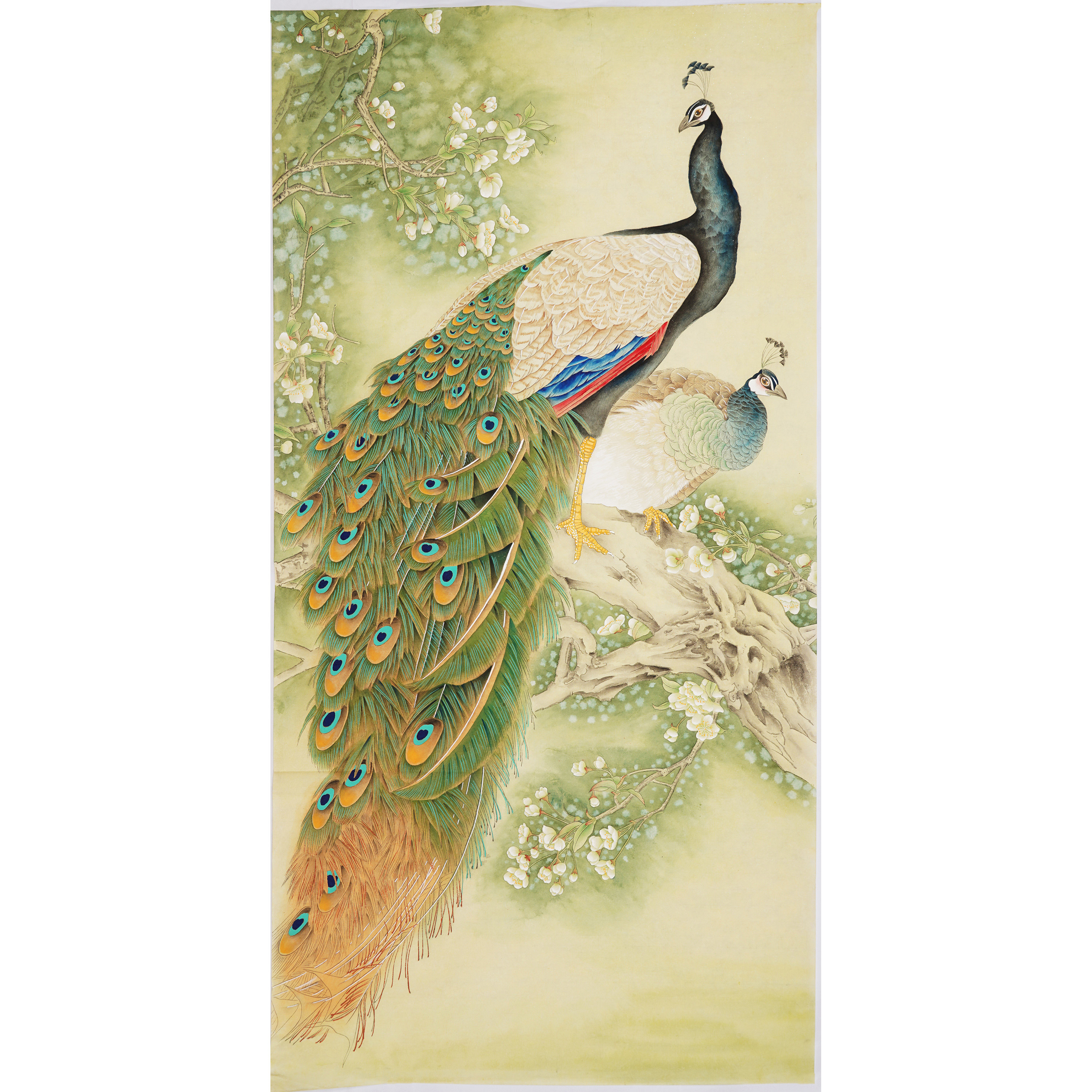 四尺孔雀国画手绘精品工笔画竖款花鸟画梨花没题款无款没落款0503