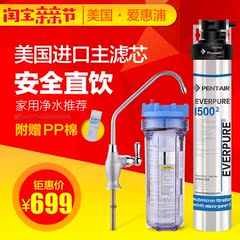 爱惠浦Everpure i5002净水器净水机直饮机厨房用水及商用过滤器