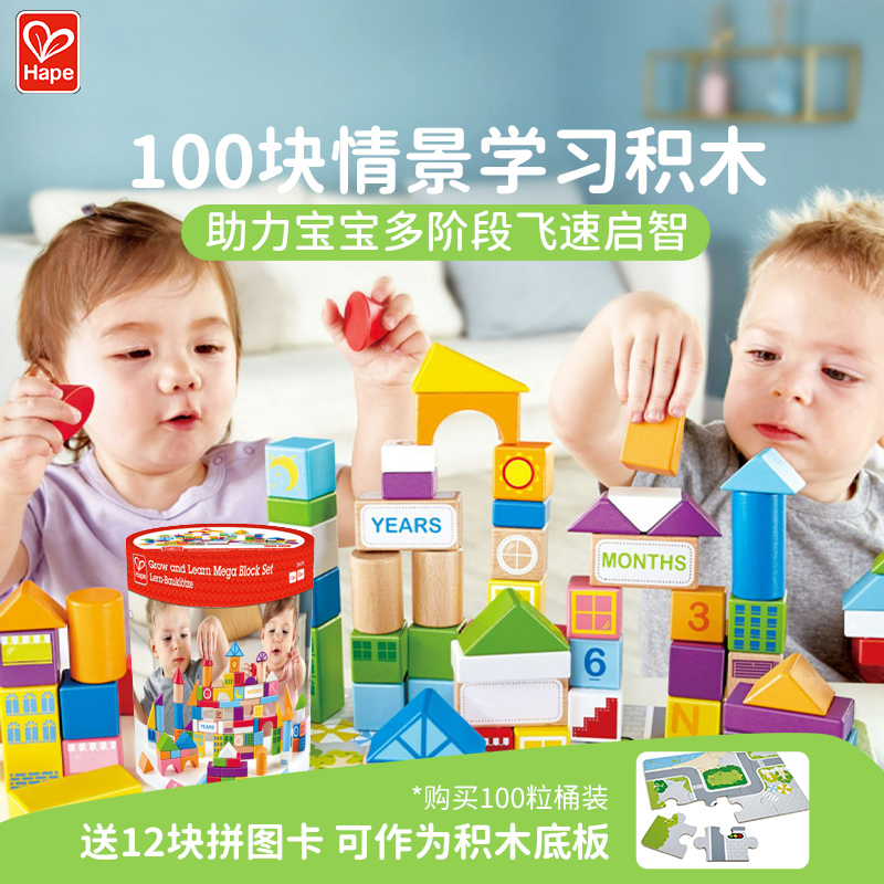 Hape100粒积木玩具益智拼装1