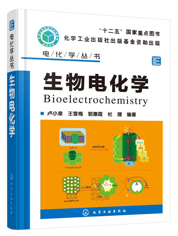 生物电化学 卢小泉 王雪梅 郭惠霞 杜捷 化学 电化学 电化学分析仪器 电化学传感器 自组装膜 应用化学 教学用书