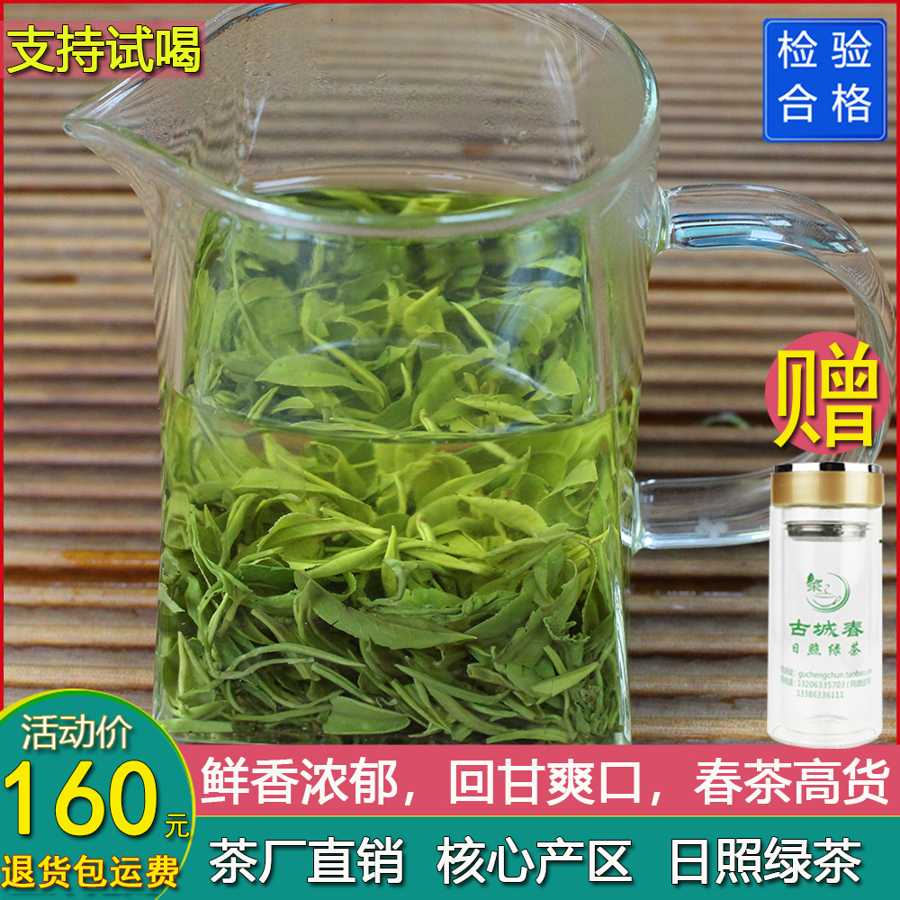 2024日照绿茶春茶新茶特级炒青炒