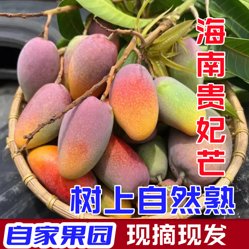 海南贵妃芒10斤芒果新鲜热带水果树