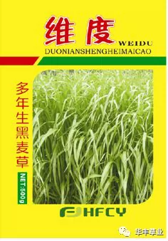 首页-华丰草业-淘宝网