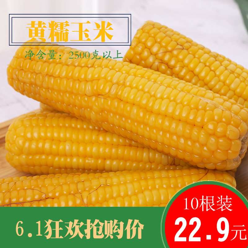 【10根】黄糯玉米真空东北特产粘苞米棒黏鲜香甜非转基因粗粮非白在类目 粮油米面/南北干货/调味品, 米/面粉/杂粮, 玉米中 - 来自Buy2taobao.com提供专业的淘宝代购服务