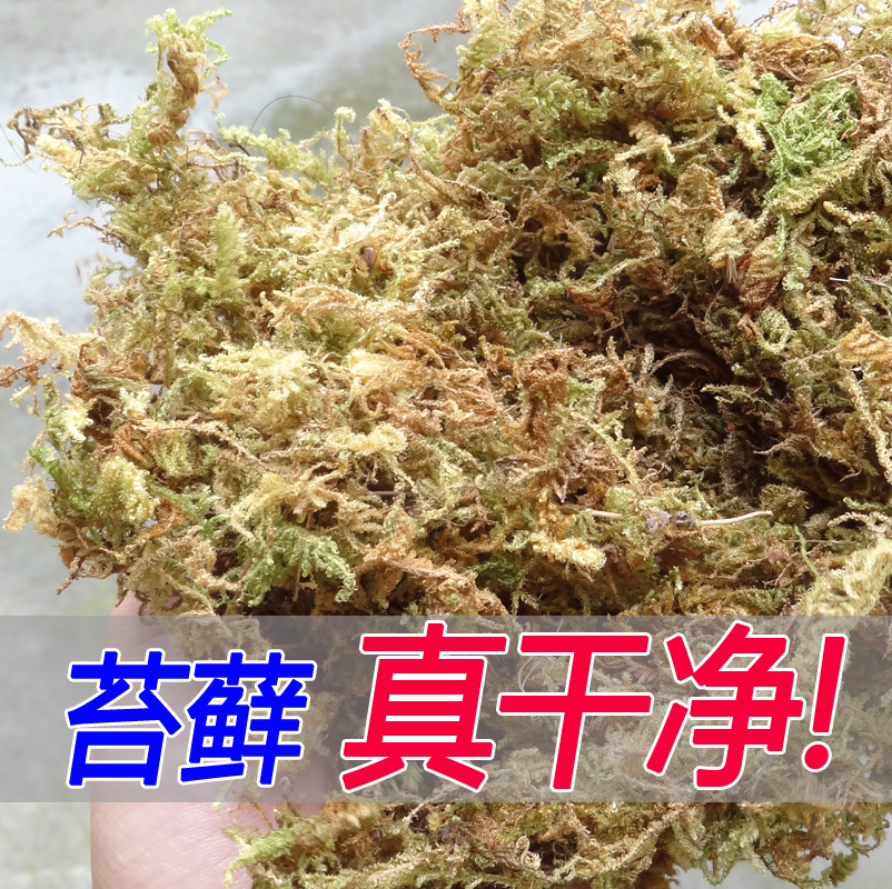 爬虫用品天然青苔垫材保湿保温水苔干苔藓干净乌龟冬眠过冬蜗牛