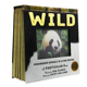 【预售】英文原版 Wild 光与影视觉书系列野生动物 3D立体图片书少儿英语启蒙绘本科普百科儿童书籍