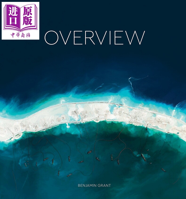 预售overview进口艺术俯瞰中商原版艺术类原版书