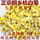 健康花茶新花正宗桐乡特产杭白菊朵花胎菊菊花茶250g500g朵杭菊茶