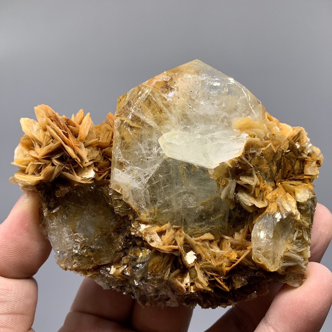 雪宝顶大晶体海蓝宝石云母 天然矿物晶体 教学标本矿石原石收藏