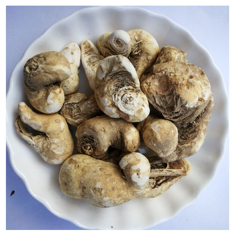 野生水田七中药材500克水三七水狗仔水虾公屈头鸡青鱼胆草新货