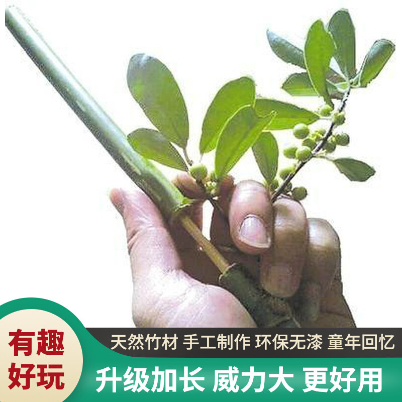 竹管枪8090怀旧传统竹炮儿童竹子做的手工玩具竹噼啪打柏桐竹子枪