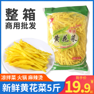 新鲜的清水黄花菜商用毛重5斤凉拌菜食材火锅麻辣烫金针菜新货