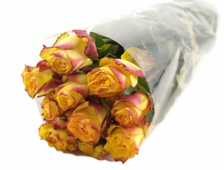 【水灵花园】快讯new sflash 月季玫瑰花苗 盆栽地栽 大花灌木