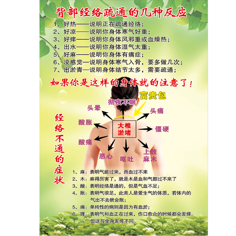 中医馆挂图背部经络疏通的反应不通的症状美容院汗蒸房装饰画海报