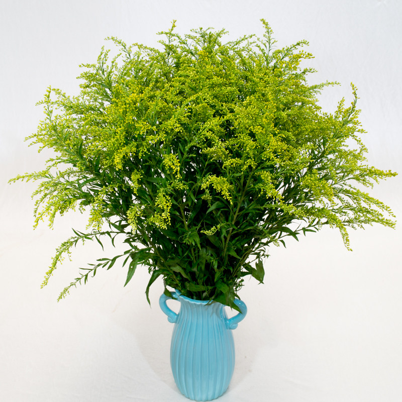 黄莺云南鲜花基地地直婚庆办公家用插花配草鲜花速递同城