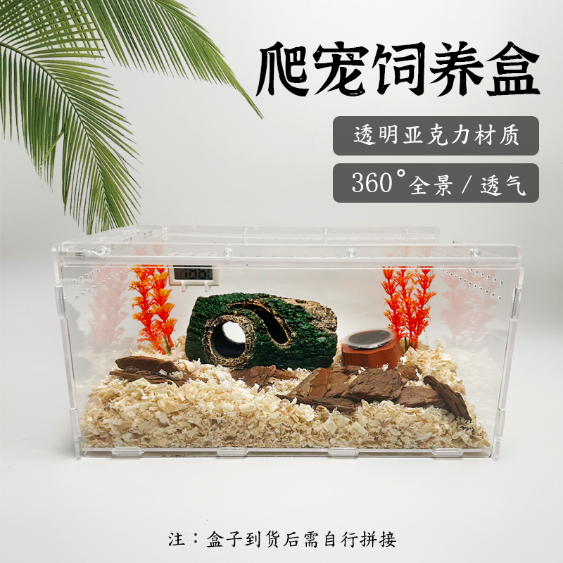 独角仙饲养箱甲虫造景亚克力昆虫盒锹形虫爬虫宠物饲养盒套装包邮