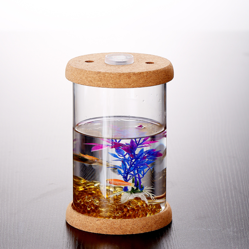 包邮带灯玻璃斗鱼瓶缸透明木塞情人节礼物景观瓶迷你款生活观赏罐