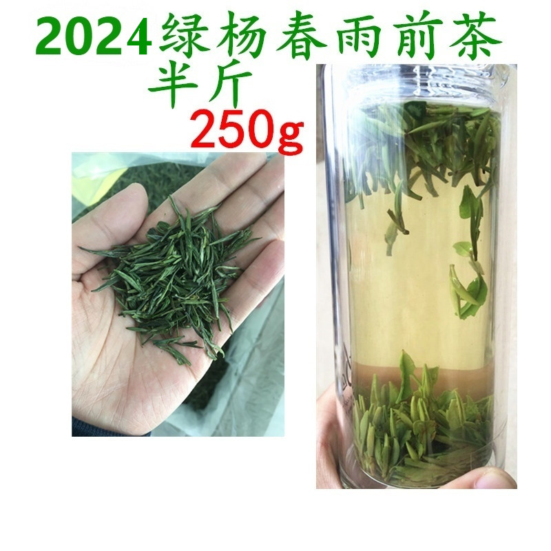 绿杨春雨前茶2024新茶仪征捺山绿