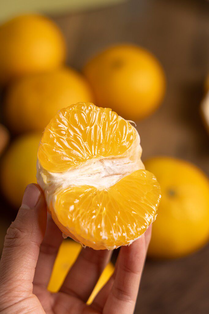 【新鲜秒发】正宗福建建阳桔柚甜心柚橘子当季新鲜水果非江西会昌