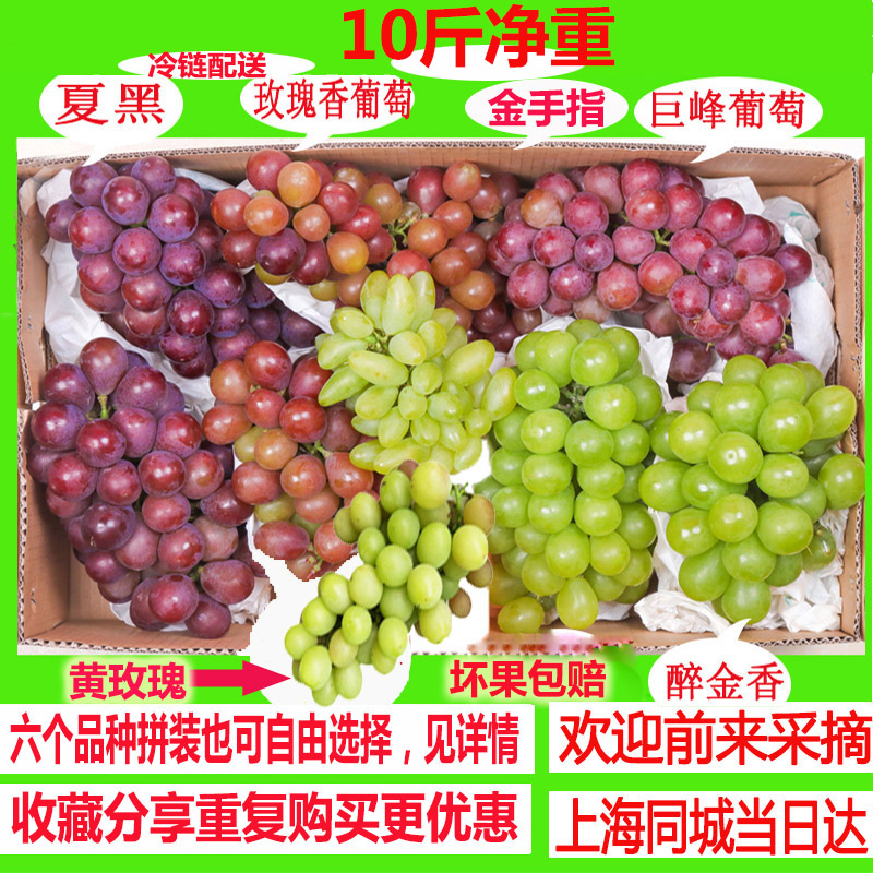 上海马陆葡萄玫瑰香无核夏黑奶油黄玉巨峰丰黄蜜葡萄新鲜水果在类目 水产肉类/新鲜蔬果/熟食, 新鲜水果, 葡萄/提子中 - 来自Buy2taobao.com提供专业的淘宝代购服务