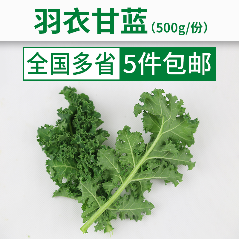 羽衣甘蓝500g 叶杜丹绿叶花包菜Kale新鲜沙拉菜在类目 水产肉类/新鲜蔬果/熟食, 新鲜蔬菜/蔬菜制品, 新鲜蔬菜, 其它中 - 来自Buy2taobao.com提供专业的淘宝代购服务