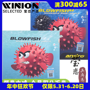 莹恋andro岸度内能乒乓球胶皮正胶生胶套胶BLOWFISH+气泡鱼毒河豚