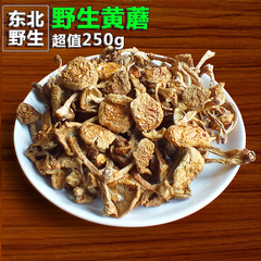 滑子菇 黄菇滑子蘑 滑菇 珍珠菇 肉香滑香干货 250克