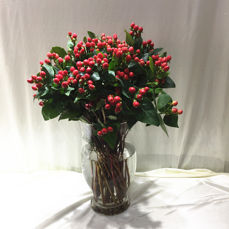 火龙珠红豆鲜花上海直发速递国产家用艺术瓶插花江浙沪皖两扎包邮