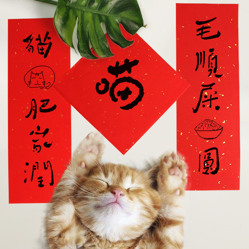 猫肥家润猫咪宠物迷你个性小对联小号创意定制过年狗笼子狗壮家旺