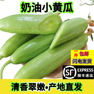 【顺丰活动】新鲜水果黄瓜小青瓜无刺即食时令沙拉蔬菜吃奶油黄瓜