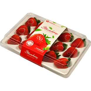 高档草莓包装盒透明打包盒水果礼盒空盒子奶油小草莓通用礼品盒