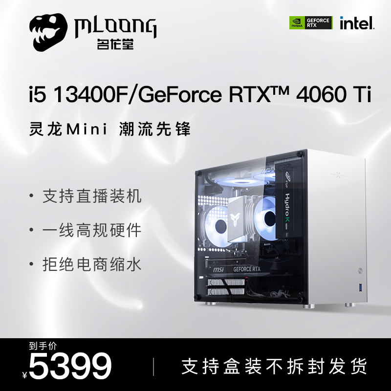 名龙堂i5 12400F/13400F升13490F/RTX4060Ti电脑主机台式吃鸡游戏电竞直播整机高颜值DIY组装机