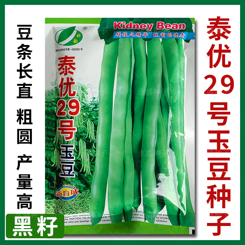 泰优29号玉豆种子四季豆种孑高产抗病芸豆种架豆种籽大田蔬菜种孑