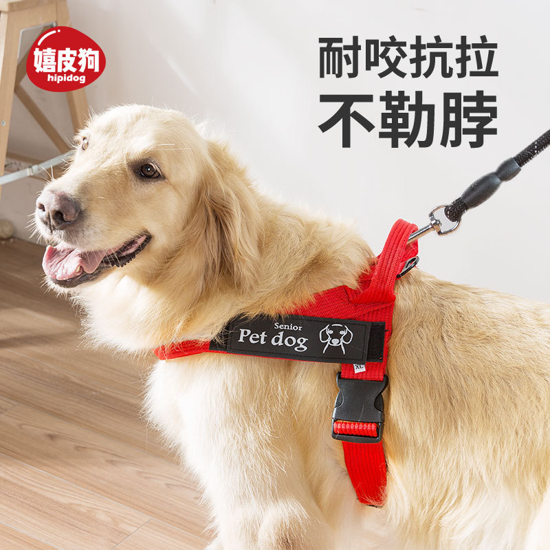 热销大狗用品