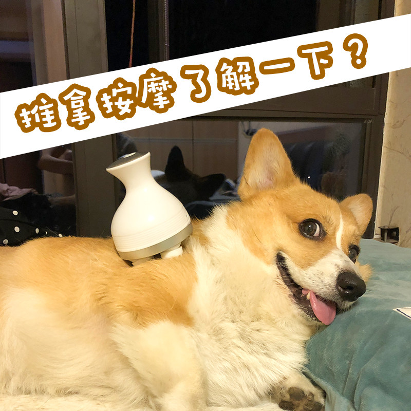 狗狗超爱的自动按摩器 宠物头部按摩仪八爪鱼款 挠痒撸猫撸狗柯基